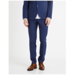 Boamaury Dress Pants