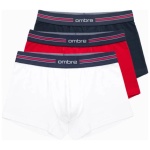 Farebné štýlové boxerky unbo-0109(3ks) - XXL