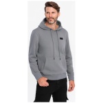 Pánska šedá mikina s logom a s kapucňou V1 SSNZ-0141 - XXL
